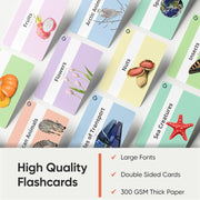Curious Cub Brain Boosting Flash Cards