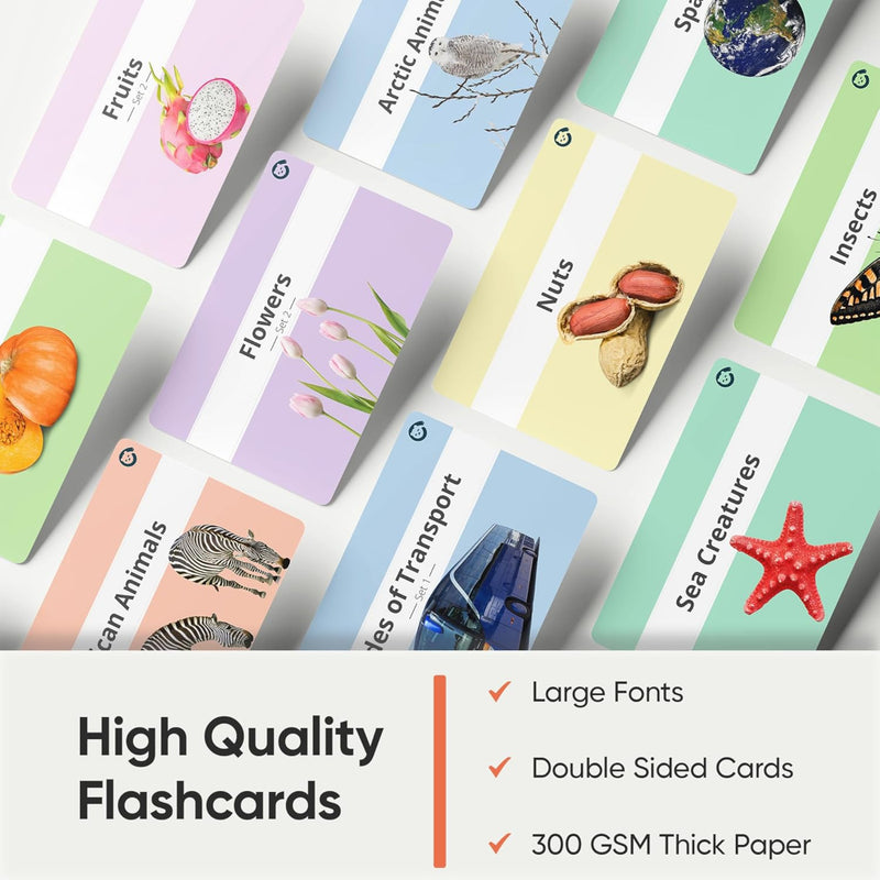 Curious Cub Brain Boosting Flash Cards