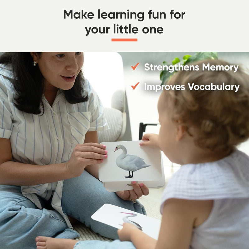 Curious Cub Brain Boosting Flash Cards