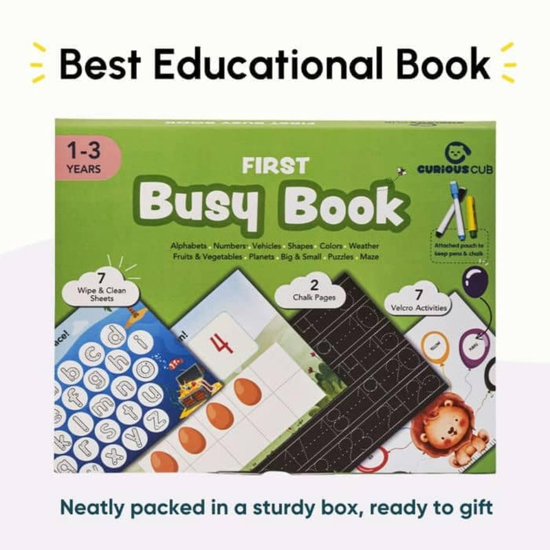 Curious Cub First Busy Book