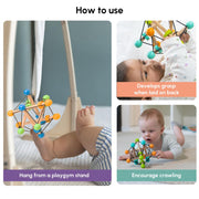 Curious Cub Geometric Rattle