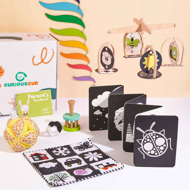 Curious Cub Montessori Box - 0 Months + (Level- 1)
