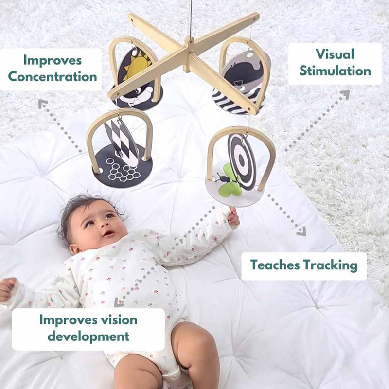 Curious Cub Montessori Box - 0 Months + (Level- 1)