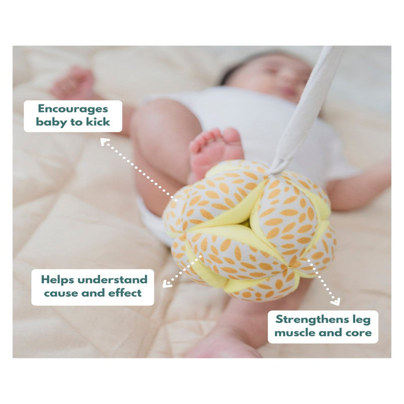 Curious Cub Montessori Box - 0 Months + (Level- 1)