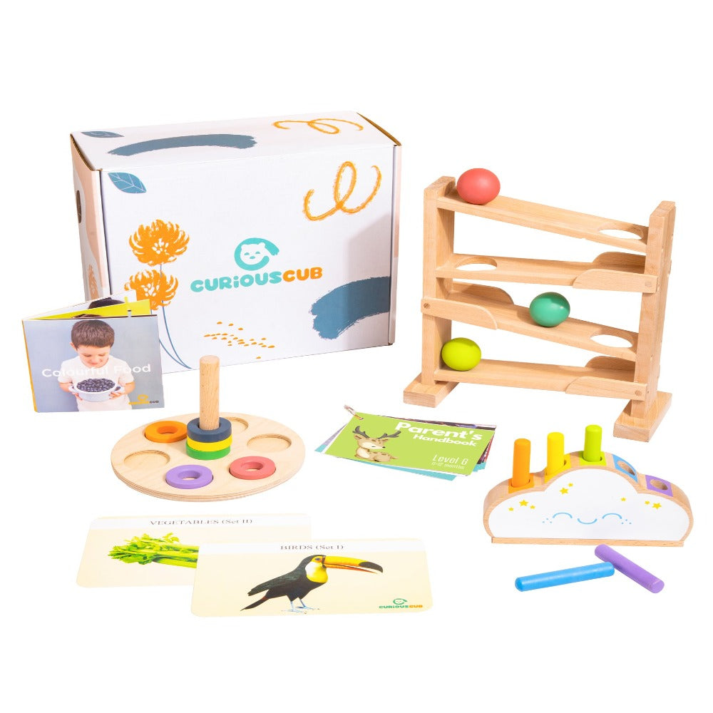 Curious Cub Montessori Box- 11 Months + (Level- 6)