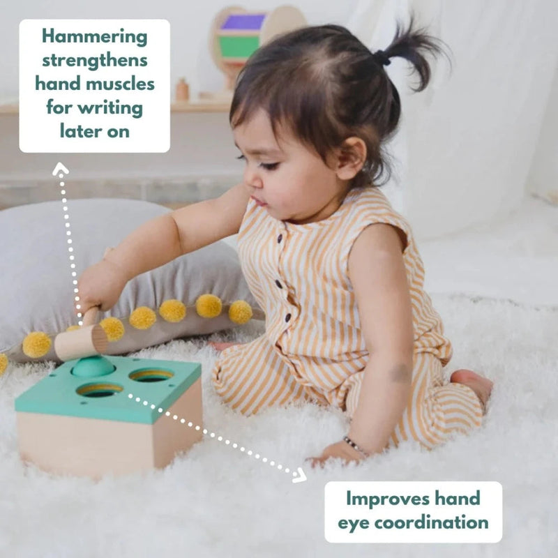 Curious Cub Montessori Box- 13 Months + (Level- 7)