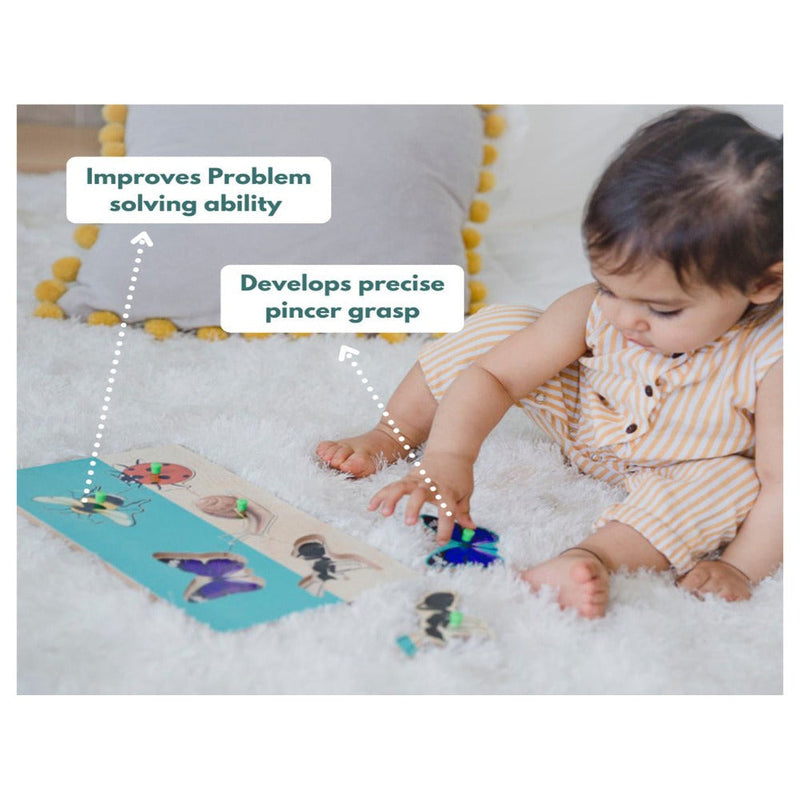 Curious Cub Montessori Box - 16 Months + (Level- 8)
