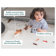 Curious Cub Montessori Box - 19 Months + (Level- 9)
