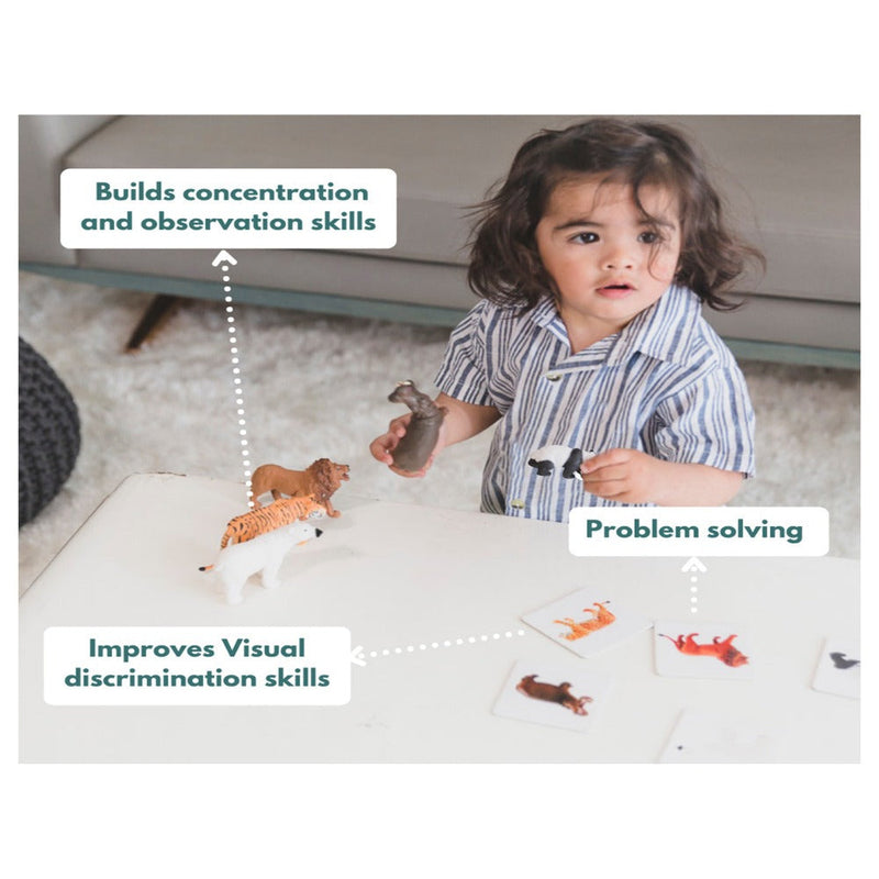 Curious Cub Montessori Box - 19 Months + (Level- 9)