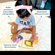 Curious Cub Montessori Box- 2 Years 3 Months + (Level- 12)