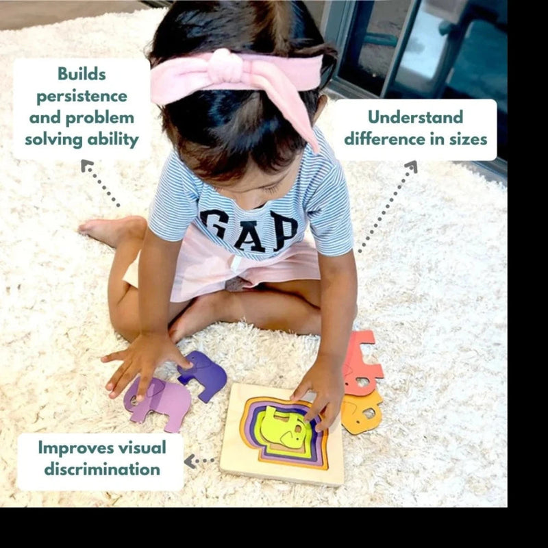 Curious Cub Montessori Box- 2 Years 3 Months + (Level- 12)