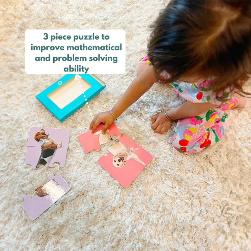Curious Cub Montessori Box- 2 Years 3 Months + (Level- 12)