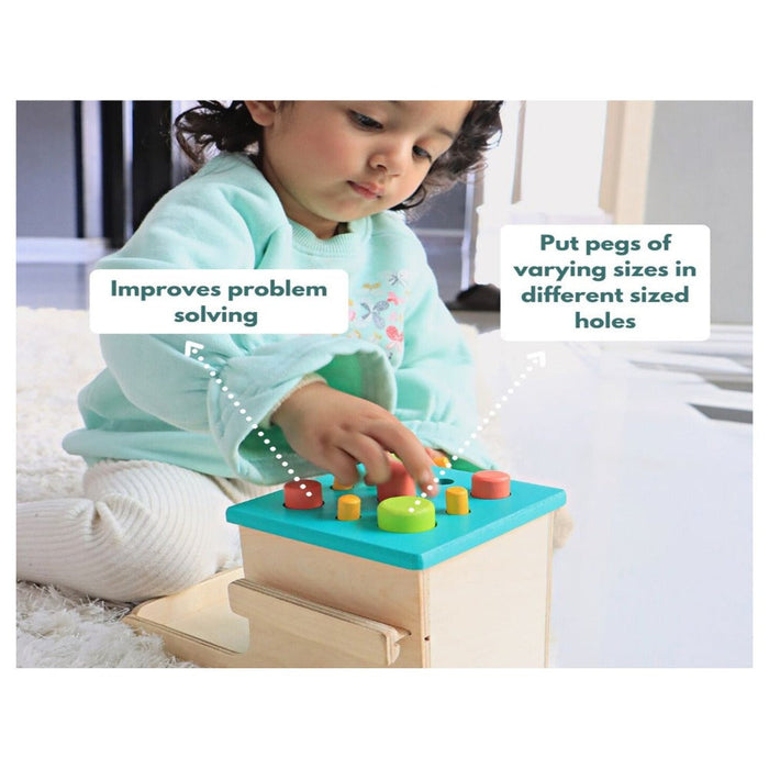 Curious Cub Montessori Box Years Months (Level- 13) — Toycra