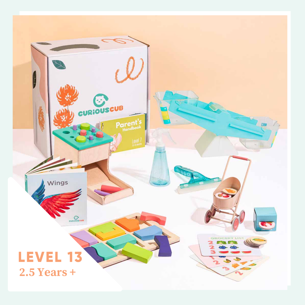 Curious Cub Montessori Box - 2 Years 6 Months + (Level- 13)