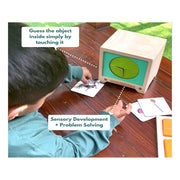 Curious Cub Montessori Box- 2 Years 9 Months + (Level- 14)