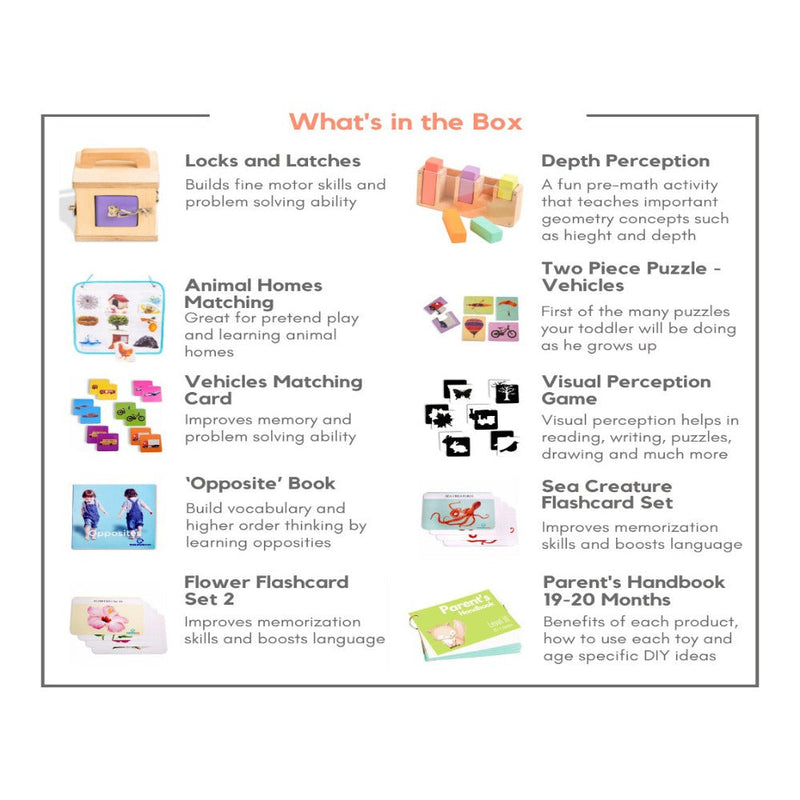 Curious Cub Montessori Box- 21 Months + (Level- 10)-Learning & Education-Curious Cub-Toycra