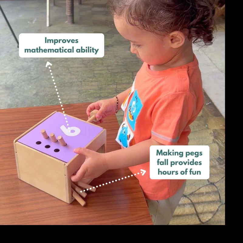 Curious Cub Montessori Box- 24 Months + (Level- 11)