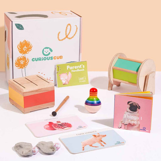 Curious Cub Montessori Box- 5 Months + (Level- 3) - Multi Color-Learning & Education-Curious Cub-Toycra