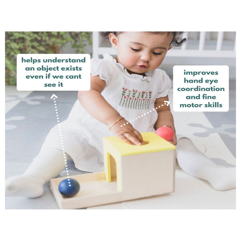 Curious Cub Montessori Box - 7 Months + (Level- 4)