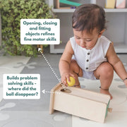 Curious Cub Montessori Box- 9 Months + (Level- 5)