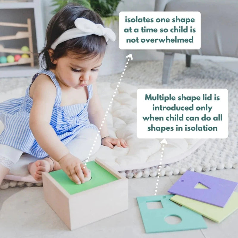 Curious Cub Montessori Box- 9 Months + (Level- 5)