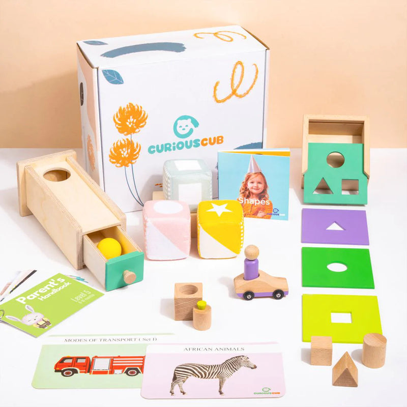 Curious Cub Montessori Box- 9 Months + (Level- 5)