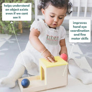 Curious Cub Object Permanence Box - Multi Color