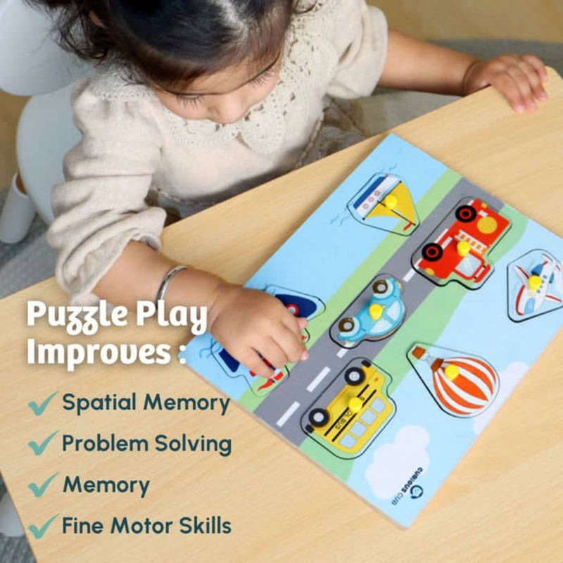 Curious Cub Peg Puzzles