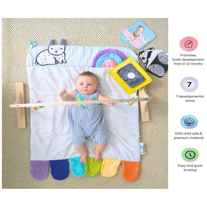 Curious Cub Play Gym-Mats, Gym & Activity-Curious Cub-Toycra