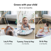Curious Cub Play Gym