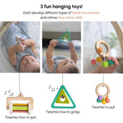 Curious Cub Play Gym