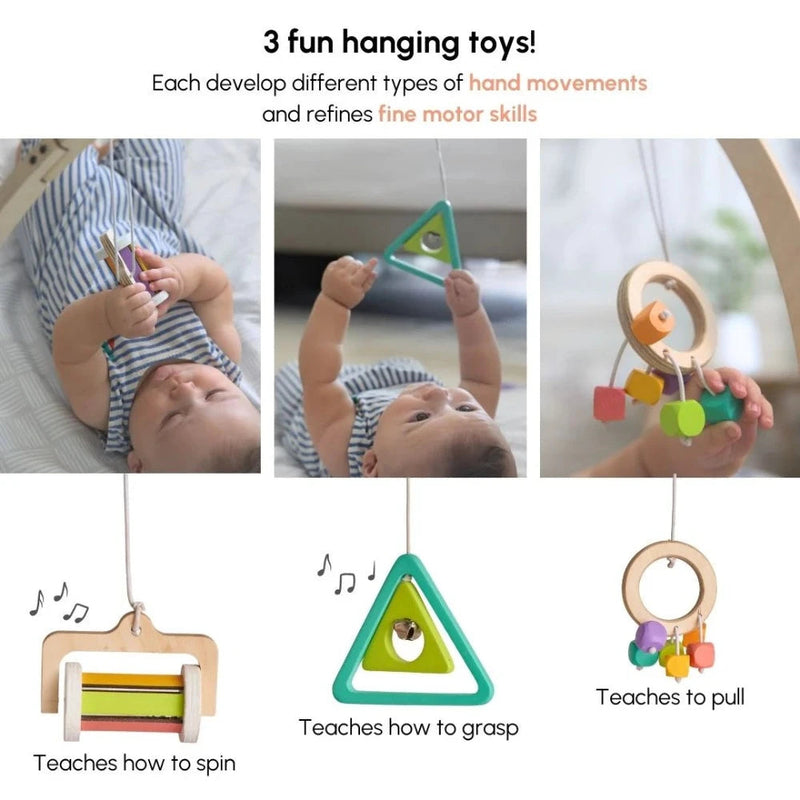 Curious Cub Play Gym