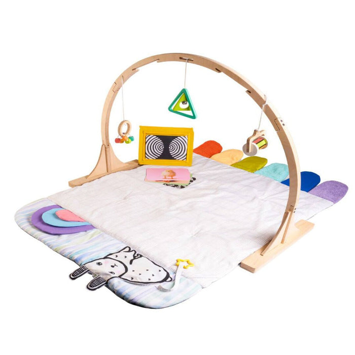 Curious Cub Play Gym-Mats, Gym & Activity-Curious Cub-Toycra