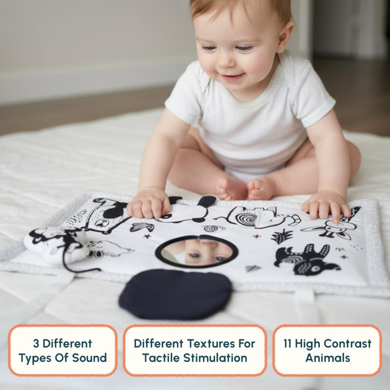 Curious Cub Play Mat For Babies 0 to 12 Months Tummy Time Toys For Babies