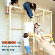 Curious Cub Playloft + Junglegym