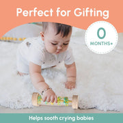Curious Cub Rainmaker Rattle
