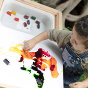 Curious Cub Sensory Table