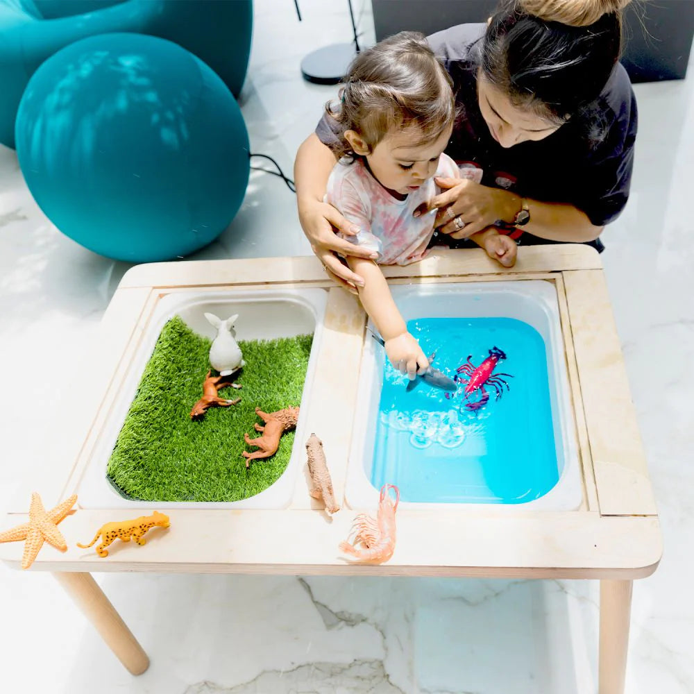 Curious Cub Sensory Table