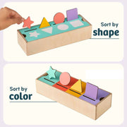 Curious Cub Shape & Color Sorter
