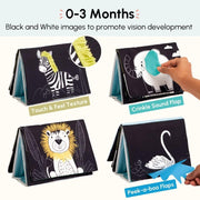 Curious Cub Tummy - Time Book