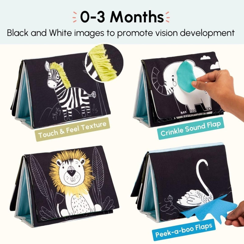 Curious Cub Tummy - Time Book