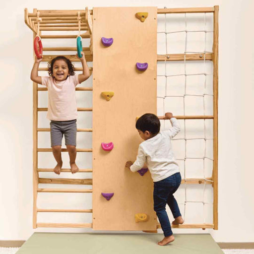 Curious Cub Wall Mounted Jungle Gym-Furniture-Curious Cub-Toycra