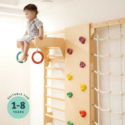 Curious Cub Wall Mounted Jungle Gym