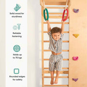 Curious Cub Wall Mounted Jungle Gym
