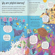 Curious Questions & Answers