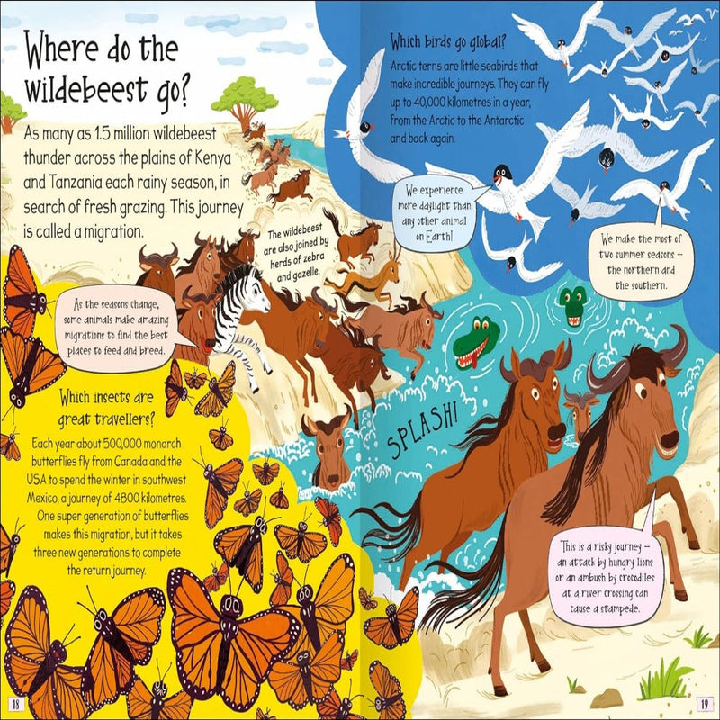 Curious Questions & Answers
