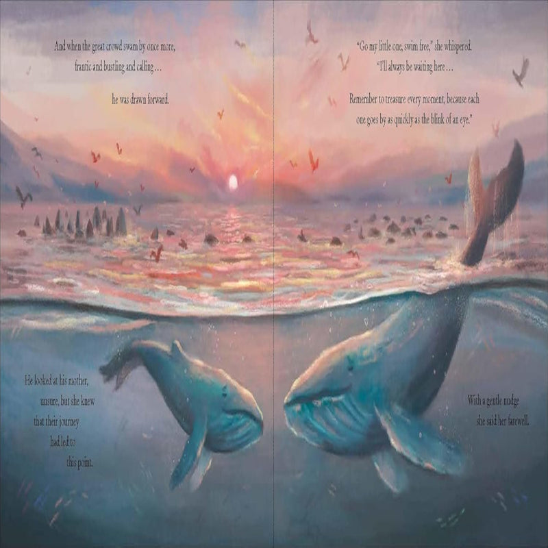 Deep Picture Book