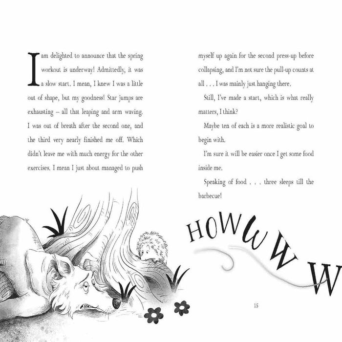 Diary Of A Big Bad Wolf-Story Books-SS-Toycra