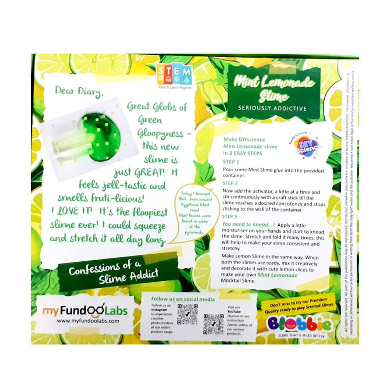 Diy Science 2 in 1 Slime Kit