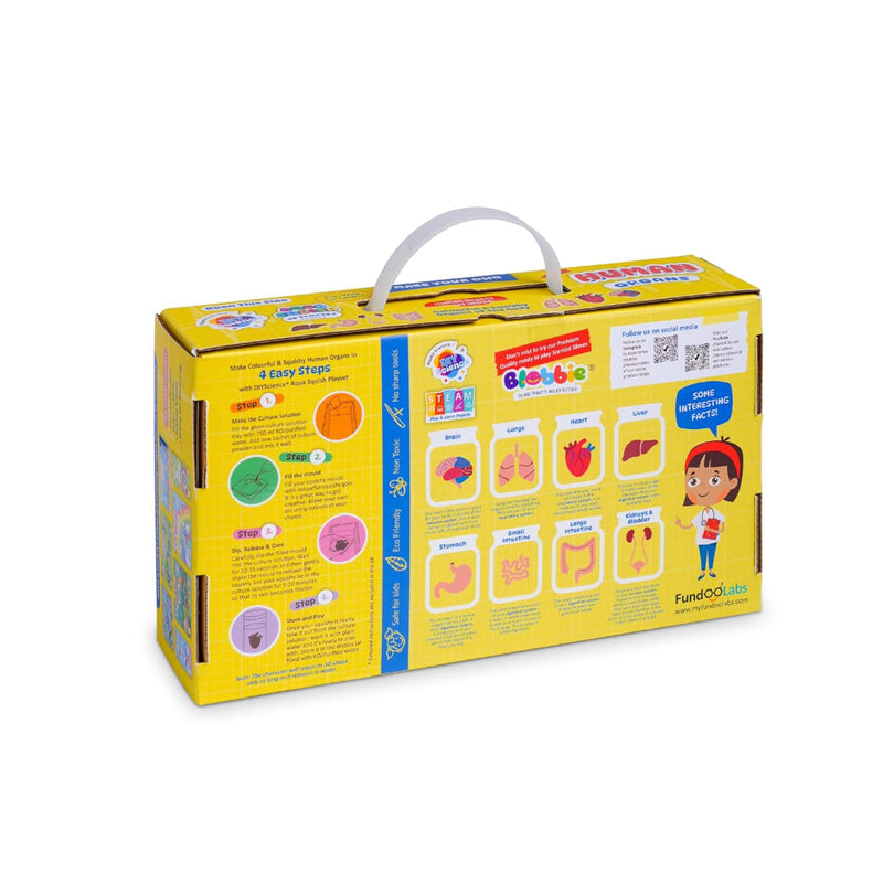 Diy Science Human Organs Squish Kit